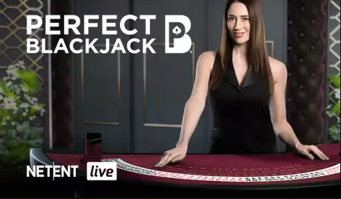 Perfect Blackjack NetEnt