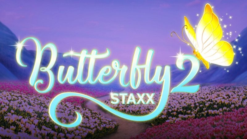 Butterfly Staxx 2