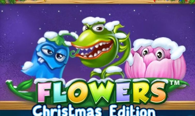 Flowers Christmas Edition