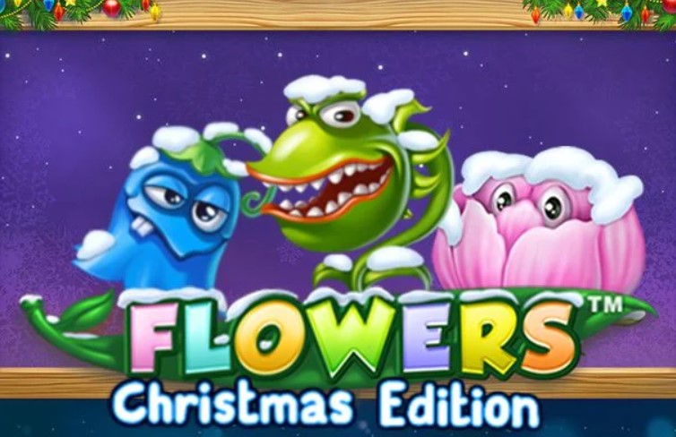 Flowers Christmas Edition